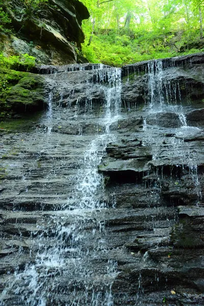 DSC_2782 (Large).JPG